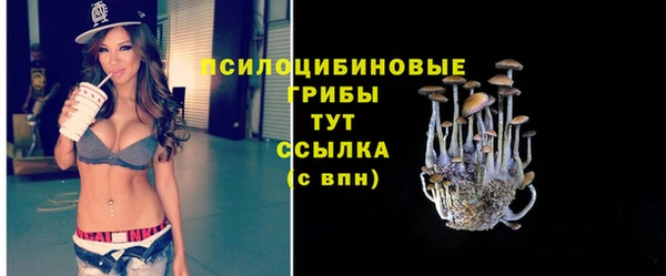 мет Богданович