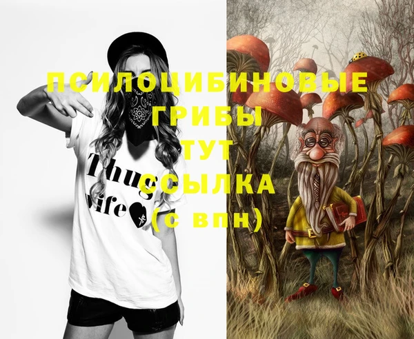 индика Володарск