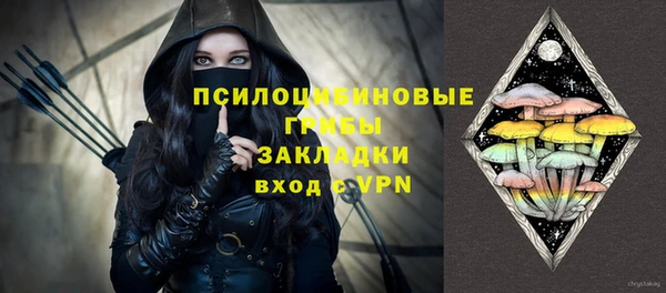 ПСИЛОЦИБИНОВЫЕ ГРИБЫ Богородицк