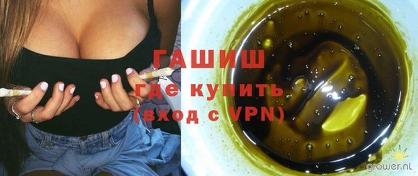 сатива Беломорск