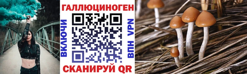 Галлюциногенные грибы мухоморы  наркота  Духовщина 